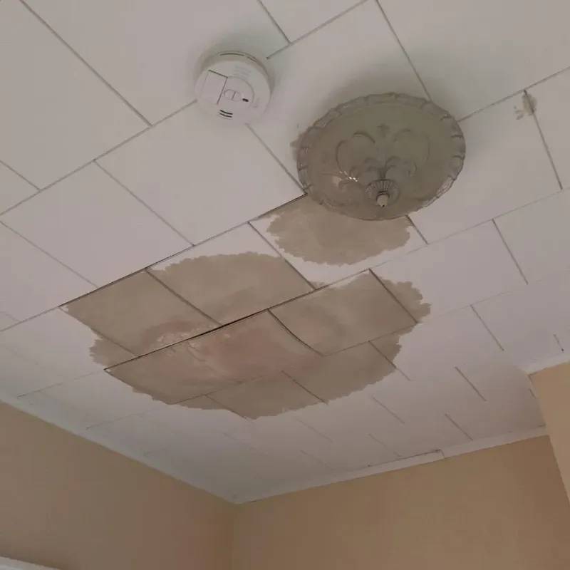 Ceiling Water Damage Repair in Leisure Village, NJ